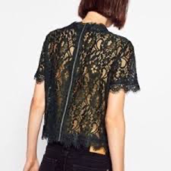 Zara Trafaluc Black Lace Top - Picture 2 of 6